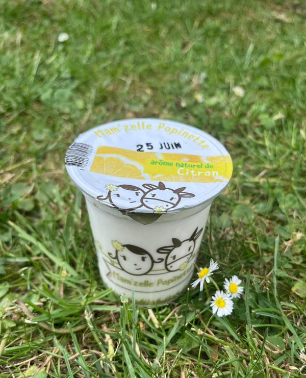 YAOURT AROMATISE CITRON